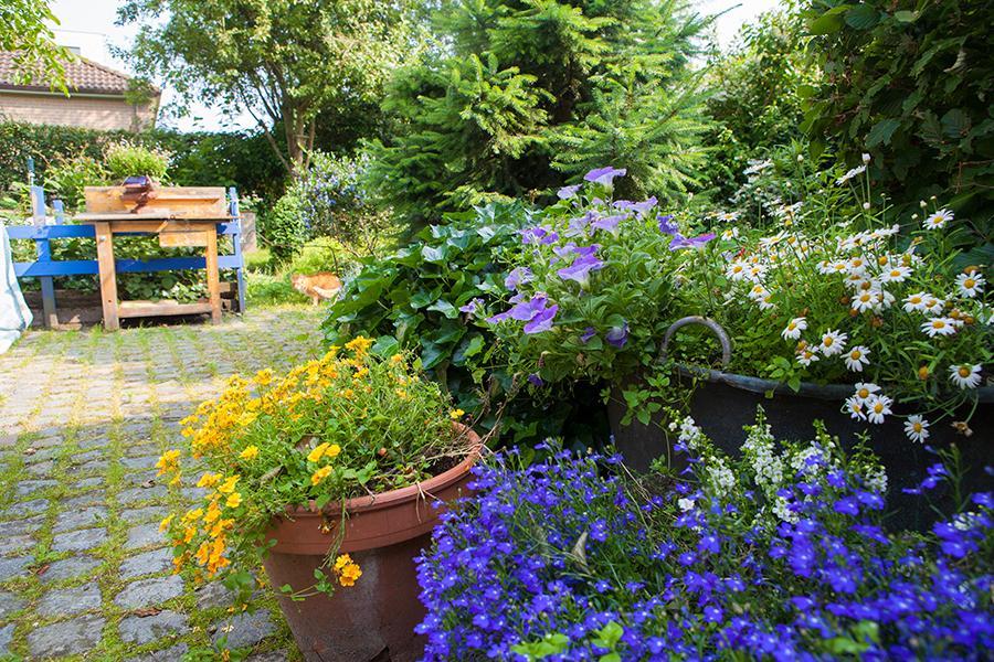 B&B T'Keygoed Ghent Luaran gambar